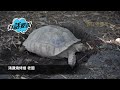 大尾篤任食燒烤場結業。老闆揚言要從軍，加入「失業大軍」。無奈指北上流失7成顧客。港女趁最後一日支持，坦言已習慣北上消費，假日甚少留港。