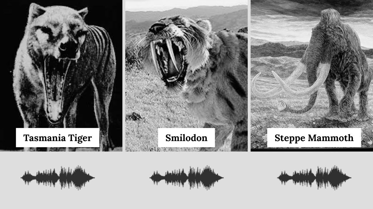 Voice Of Extinct Animals † (With Audio)