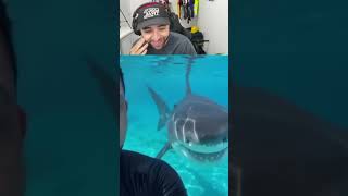 Esses vídeos de IA tao absurdos #humor