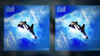 CollieBuddzPrescription 720p