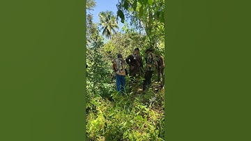 Kejadian pemburu di seruduk bab1 hutan