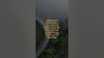 Why Moral Statements Defy True or False Labels in Philosophy