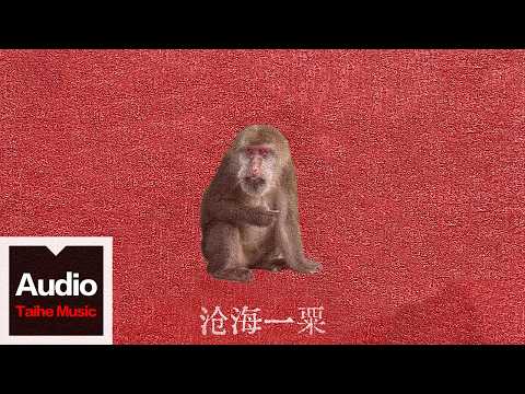 劉森【滄海一粟】HD 高清官方歌詞版 MV