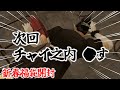 【福袋開封】遊戯王福袋でマインドクラッシュする花畑チャイカ【にじさんじ切り抜き/夜見れな/花畑チャイカ/加賀美ハヤト/社築/舞元啓介】
