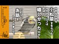 【おしゃべり&歌】旨い旨いした。美味しかった。ママちゃんえ〜〜ん他多数!