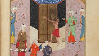 Mevla Ya Salli — Ubeydullah Sezikli kapak görseli