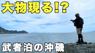 豪快ファイト!!大型連発の沖磯ロックフィッシュゲーム【ルアー合衆国】