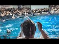 Trình diễn ca heo tại shinagawa park🐬