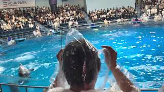 Trình diễn ca heo tại shinagawa park🐬
