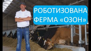 Роботизована молочна ферма в Україні | Доїльні роботи GEA |  Родинна ферма ОЗОН | Корови