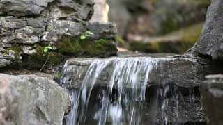 Ambient River Cascade Sounds for Relaxation and Sleep | 1 Hour | #ambientmusic #rain #sleep