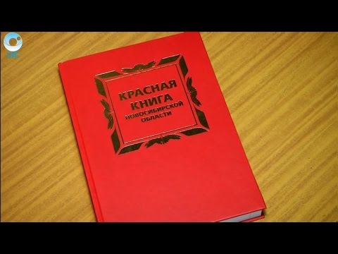В Новосибирской области готовятся к переизданию Красной книги