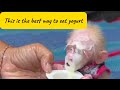 Baby Monkey Can’t Wait for Yogurt – Face First Into the Cup! 🐵🥄