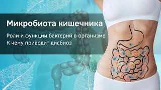 картинка: Микробиота кишечника. Бактерии и микрофлора. Дисбиоз.