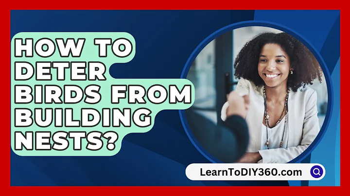 How to Deter Birds from Building Nests? - LearnToDIY360.com