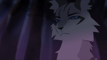 COPYCAT MAP - part 2