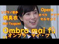 鶫真衣 オンブラ・マイ・フ  Ombra mai fù  歌詞字幕付き  ヘンデル作曲   オペラ セルセより 第1幕冒頭のアリア。プラタナスの木蔭への 愛を歌ったもの