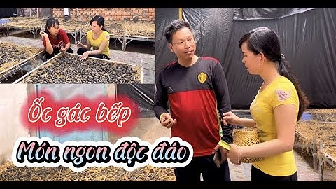 Độc đáo đặc sản ốc gác bếp Tình Quê (TP. Cao Lãnh) | Tất tần tật về ốc gác bếp miền tây