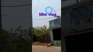 mini vlog..🫰🏻🥰 #youtubeshorts #lifeisbutadream #odiavolg #neweducationpolicy#internshipforstudents
