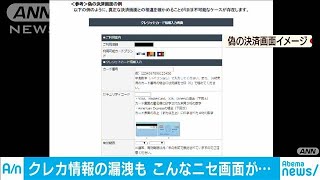 クレカ情報の漏洩が急増　こんな偽画面には要注意！(20/02/14)