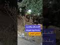 الاحتلال يقتحم بلدة بيت فوريك شرقي نابلس