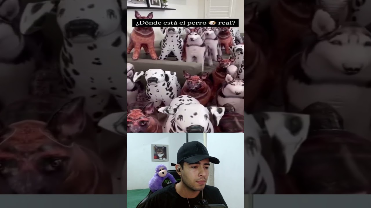 ¿Eres CAPAZ de encontrar al perro? #viralvideo #shorts #fyp #favorite #perros #encontrar #humor