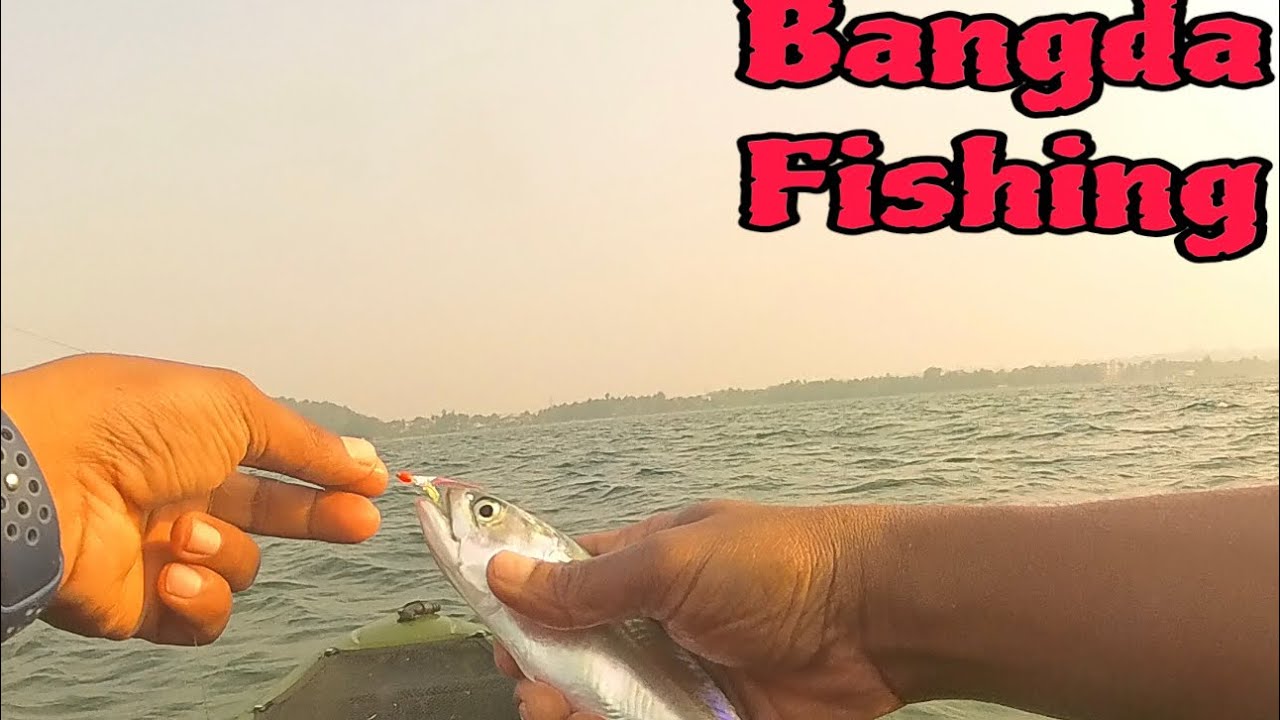 How to catch Bait fish offshore Bangda Mackerel fishing from kayak