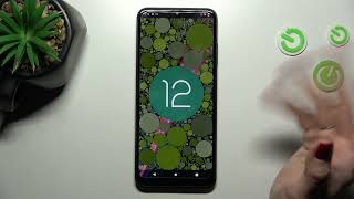 T MOBILE Revvl 6 Pro   Check Android Version
