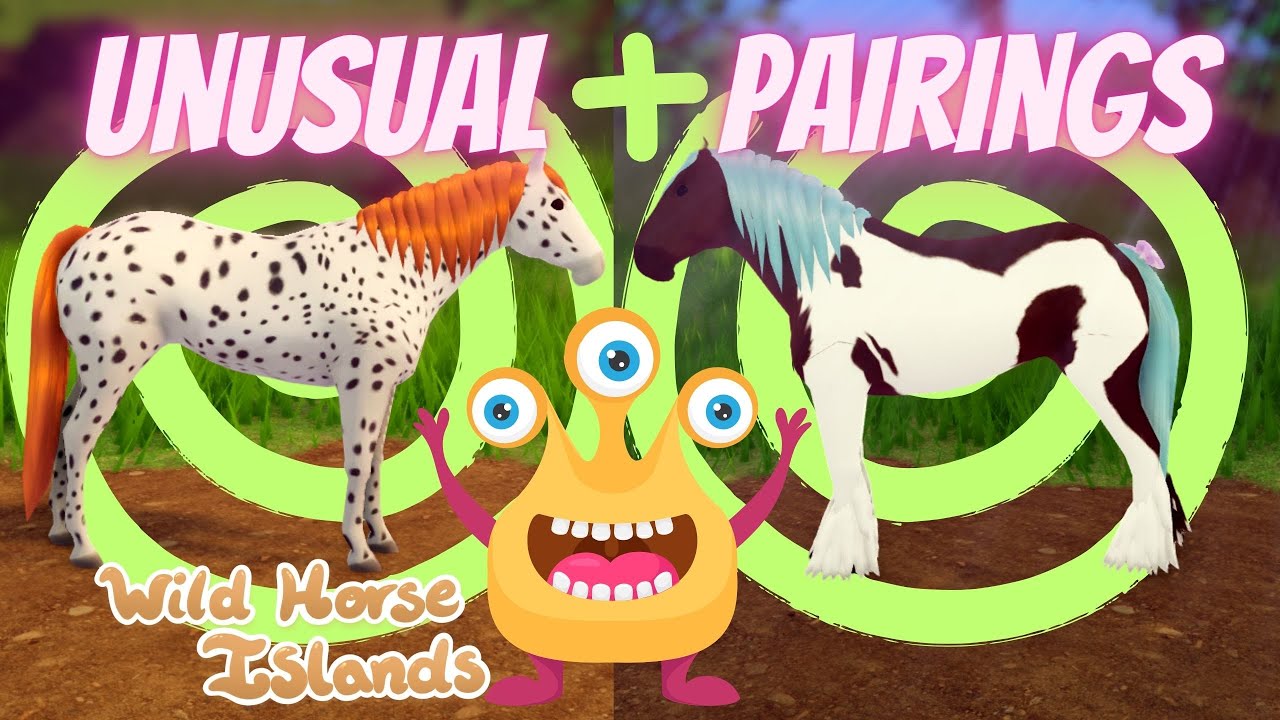 UNUSUAL PAIRINGS LED TO THIS?! / WILD HORSE ISLANDS