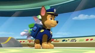 Paw Patrol S01E03 Pups Save The Sea Turtles Pup And The Very Big Baby 8