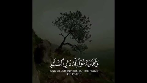 القارئ : رعد الكردي (والله يدعو إلى دار السلام ويهدي من يشاء إلى صراط مستقيم) سورة : يونس💛✨!!