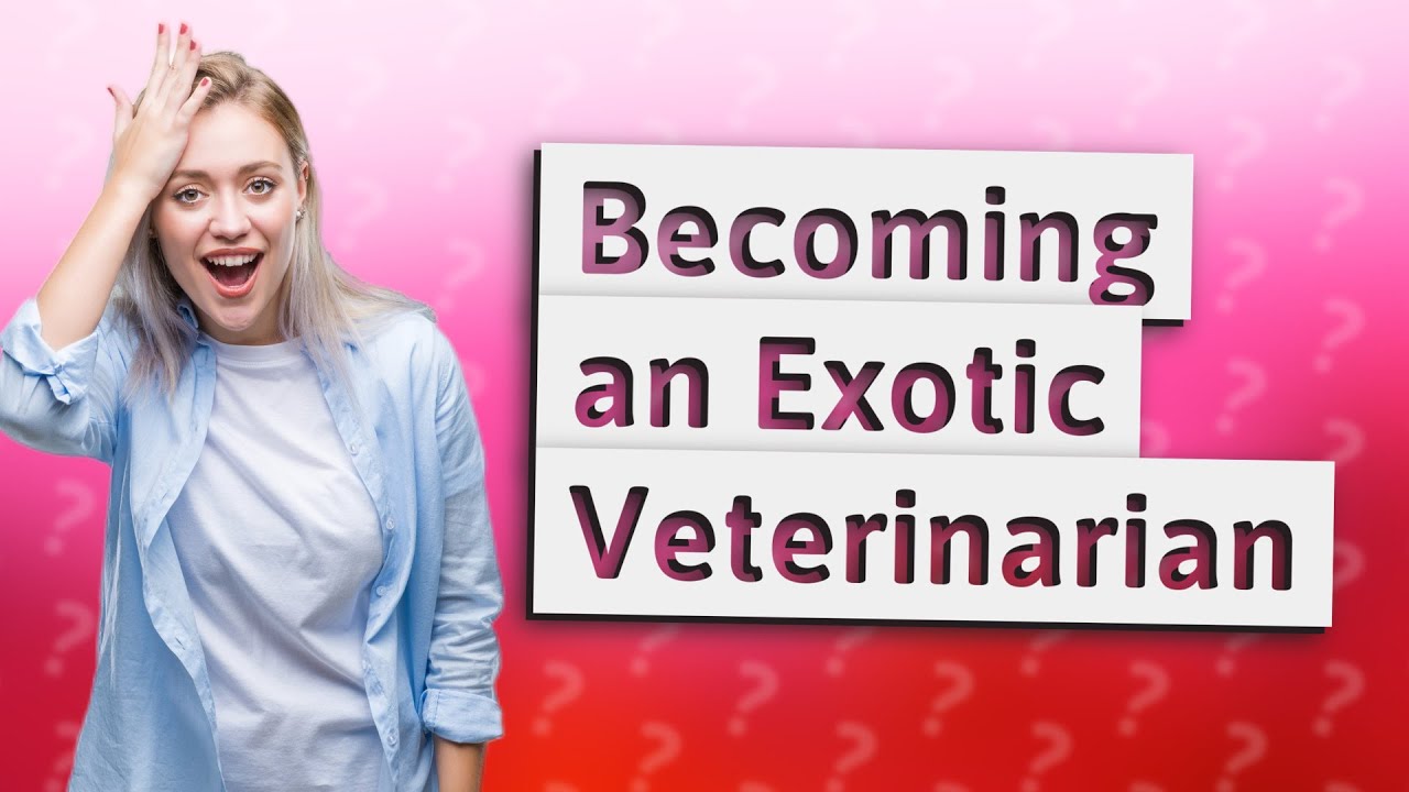 How Can I Pursue a Career as an Exotic Veterinarian? YouTube