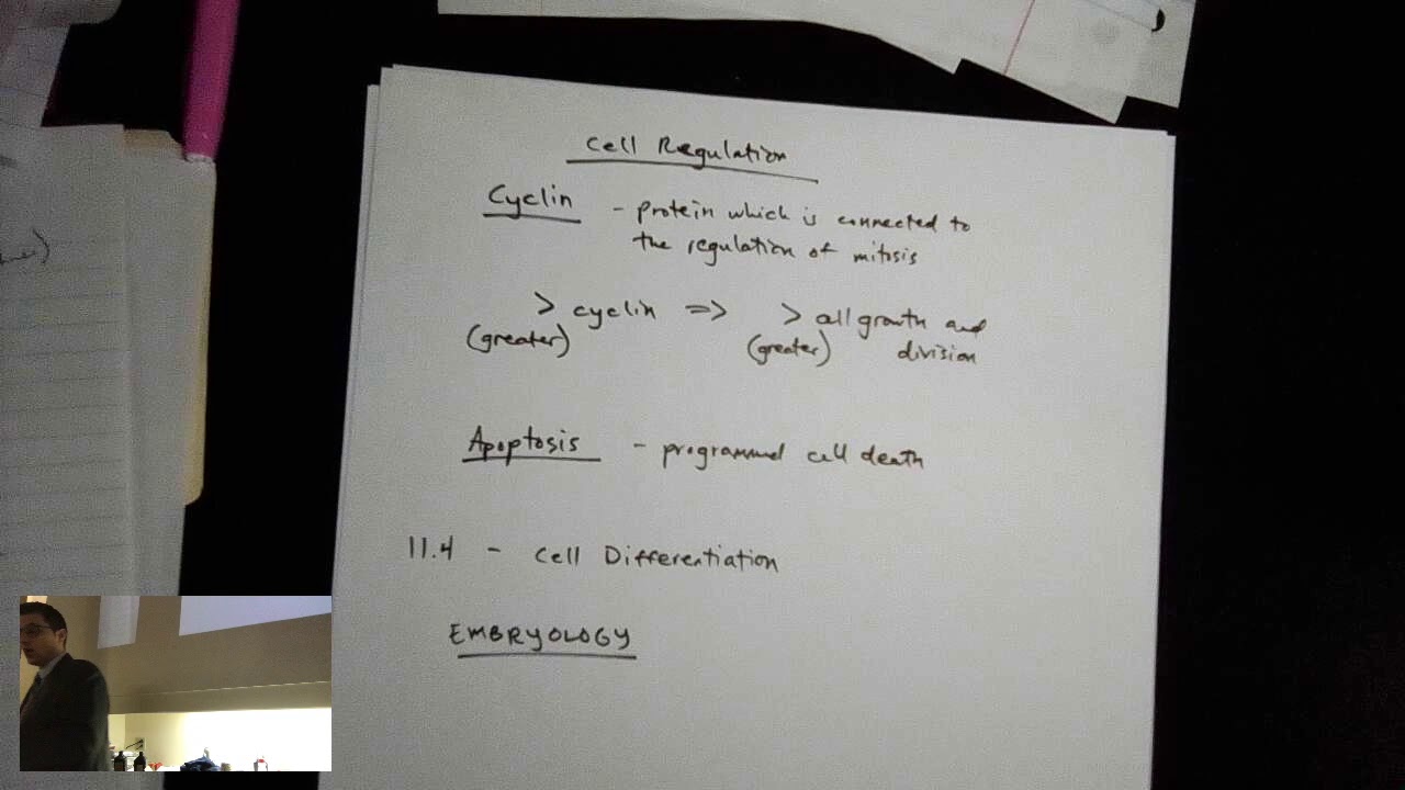 Cell Regulation Review and Cell Differentiation