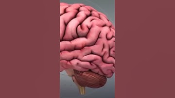 What is Partial Invasive BCI? || Which technology is used in Partial Invasive BCI? #shorts