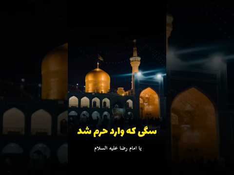 ماجرای سگی که به حرم امام رضا پناهنده شد
