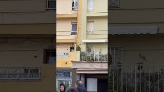 Wild Macaque Monkey Traversing a Balcony