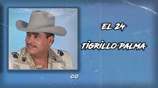 El 24-Tigrillo Palma (Letra)