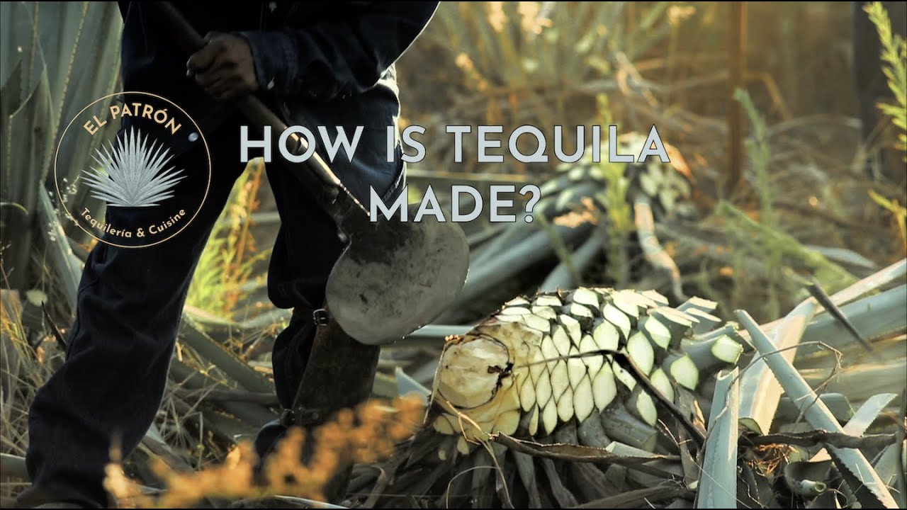 How Is Tequila Made YouTube
