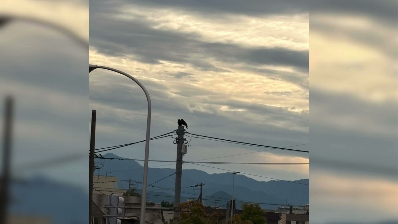 wusk fic - 24（Official Audio）