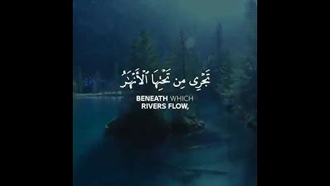 # سورة البينة جزاؤهم عند ربهم جنات تجري من تحتها الأنهار  #تلاوات #خاشعة #قرآن