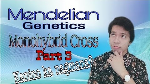 Monohybrid Cross - Human Traits || Part 3 Mendelian Genetics