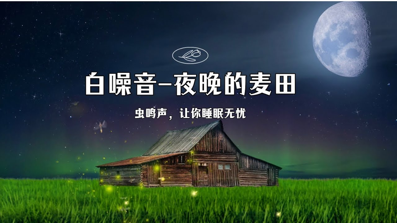 🌾白噪音夜晚的稻田虫鸣声White NoiseNightField YouTube