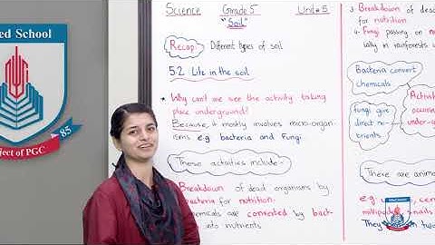 Class 5 - Science - Chapter 05 - Lecture 13 Soil Topic 5.2 - Allied Schools