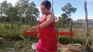 Nkauj Hmoob Toj Siab Da Dej Nawb L 2025