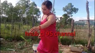 Nkauj hmoob toj siab da dej nawb l 2025