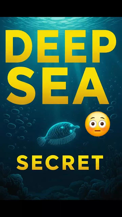🤔What Lies in the Deepest Part of the Ocean? 🌊 Uncovered! | #shorts #youtubeshorts