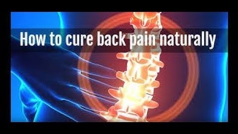 Lower Back pain | 7 Simple Core Exercises That Prevent Lower Back Pain