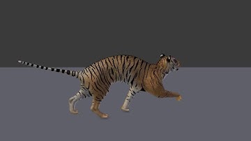 Tiger Run Cycle