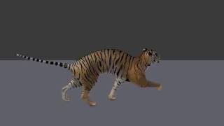 Tiger Run Cycle