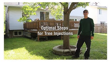 Optimal Steps for Tree Injections Using TreeAzin and the EcoJect System